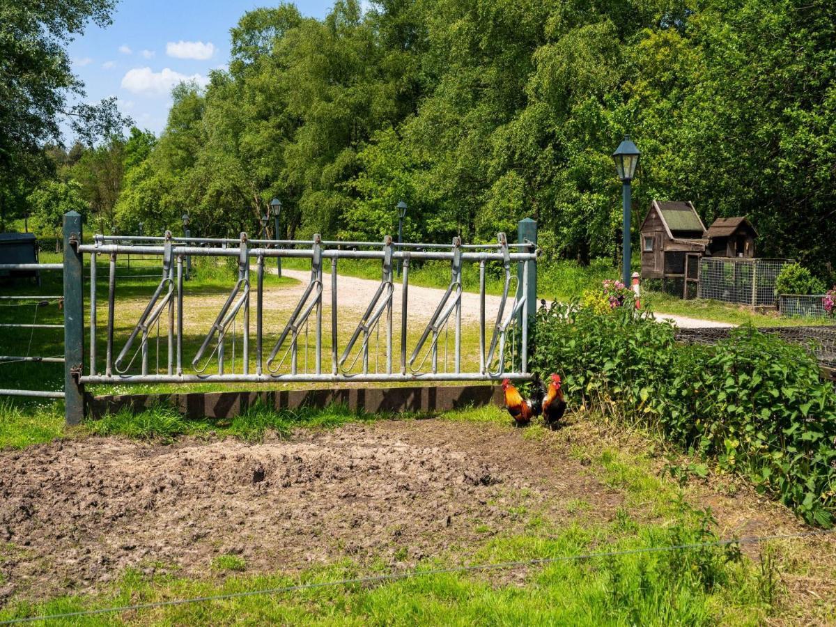 A Lovely Cottage On The Dwingelderveld Nature Park Beilen 外观 照片