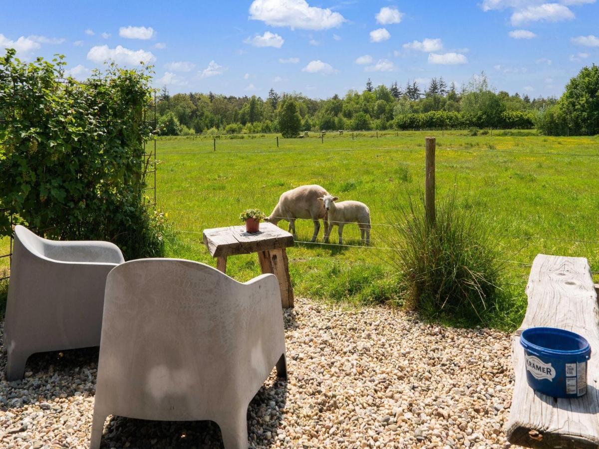 A Lovely Cottage On The Dwingelderveld Nature Park Beilen 外观 照片
